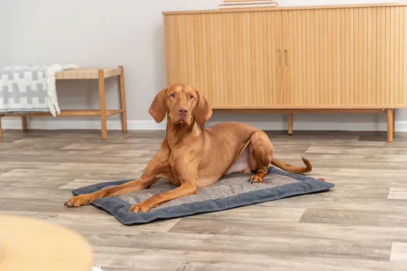 BE NORDIC Liegematte Föhr